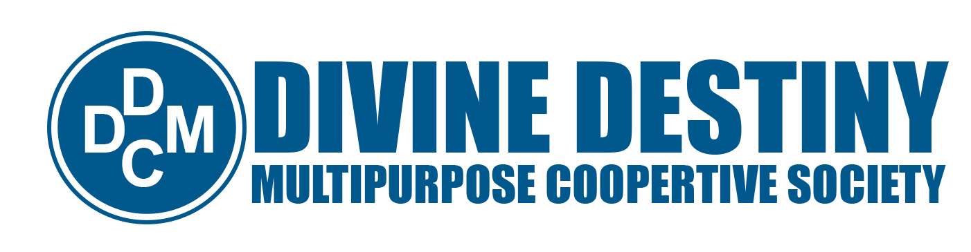 Divine Destiny Coop